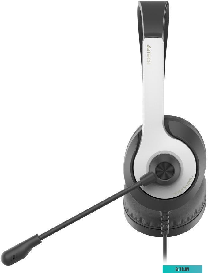 Наушники (Гарнитура) A4Tech Fstyler FH100U (белый/черный)