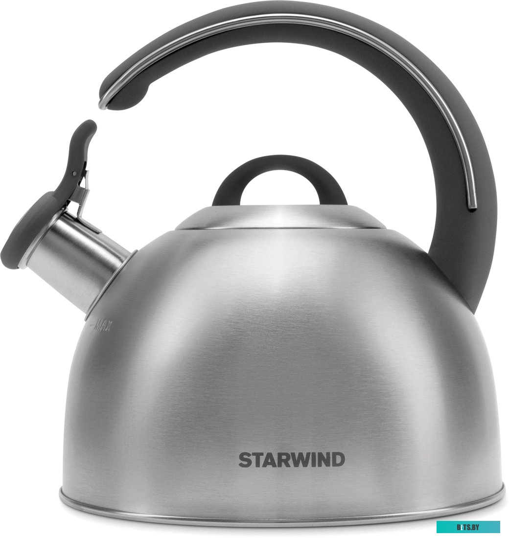 SW-CH1106 Чайник Starwind Chef Family серебристый