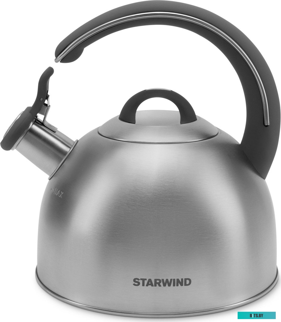 SW-CH1106 Чайник Starwind Chef Family серебристый