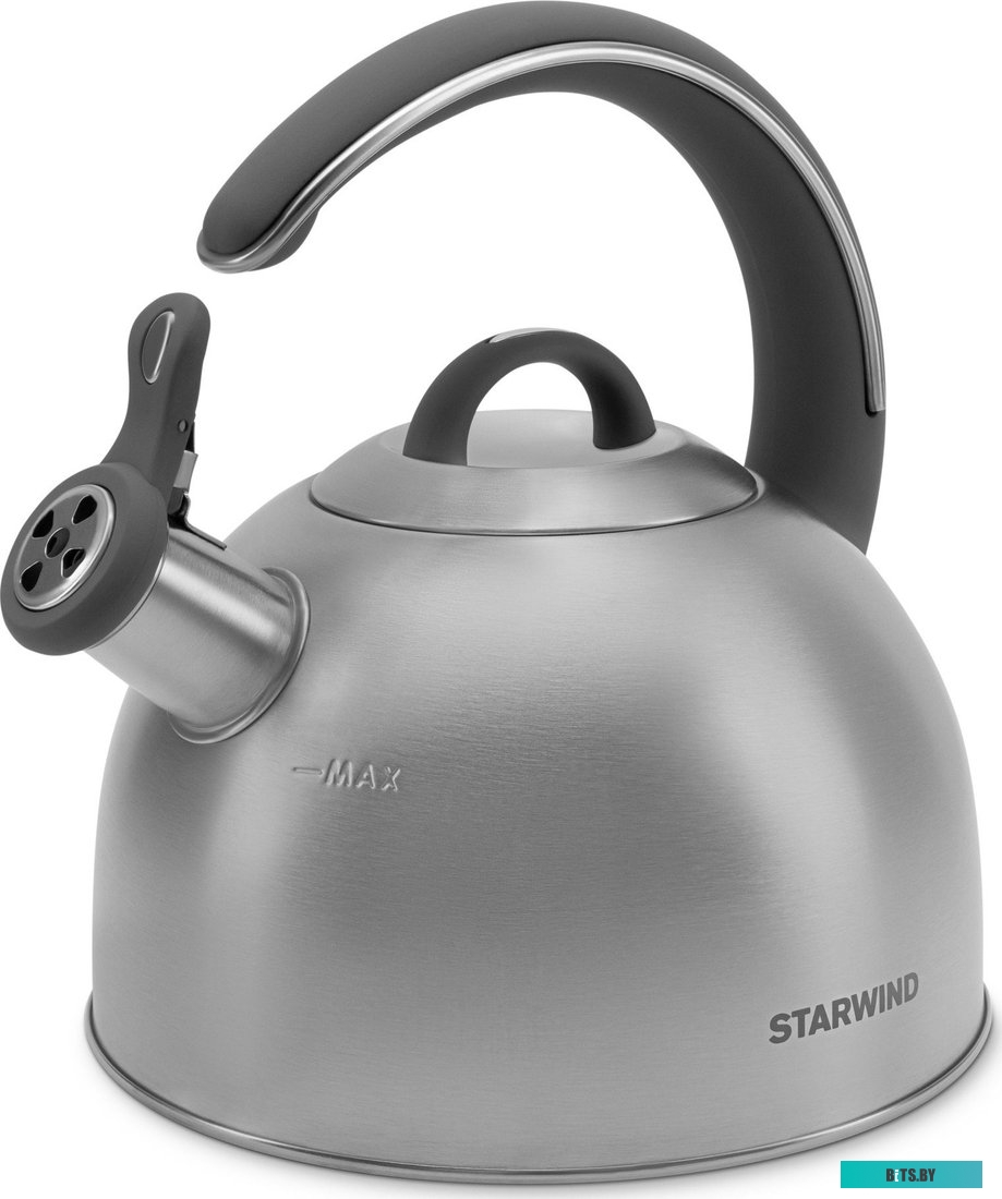 SW-CH1106 Чайник Starwind Chef Family серебристый