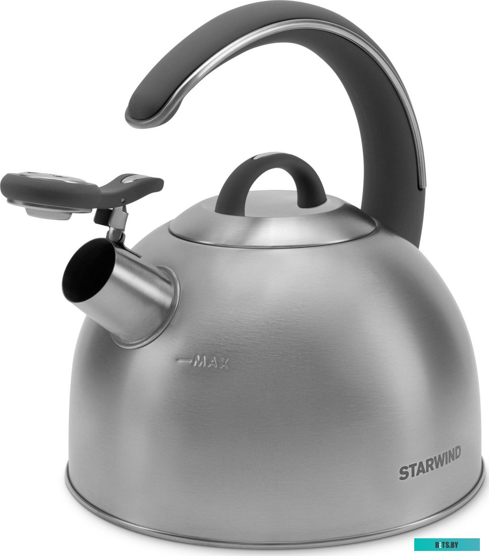 SW-CH1106 Чайник Starwind Chef Family серебристый