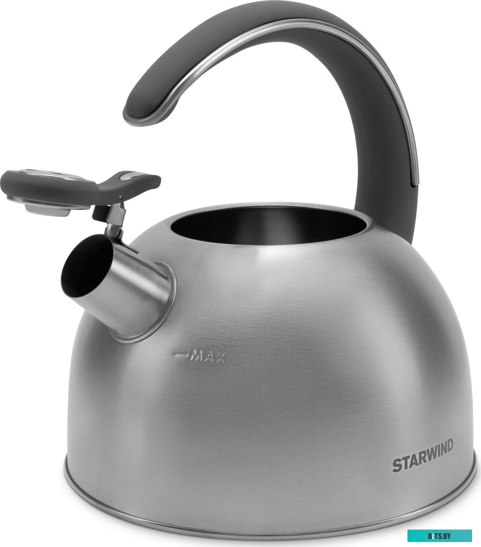 SW-CH1106 Чайник Starwind Chef Family серебристый