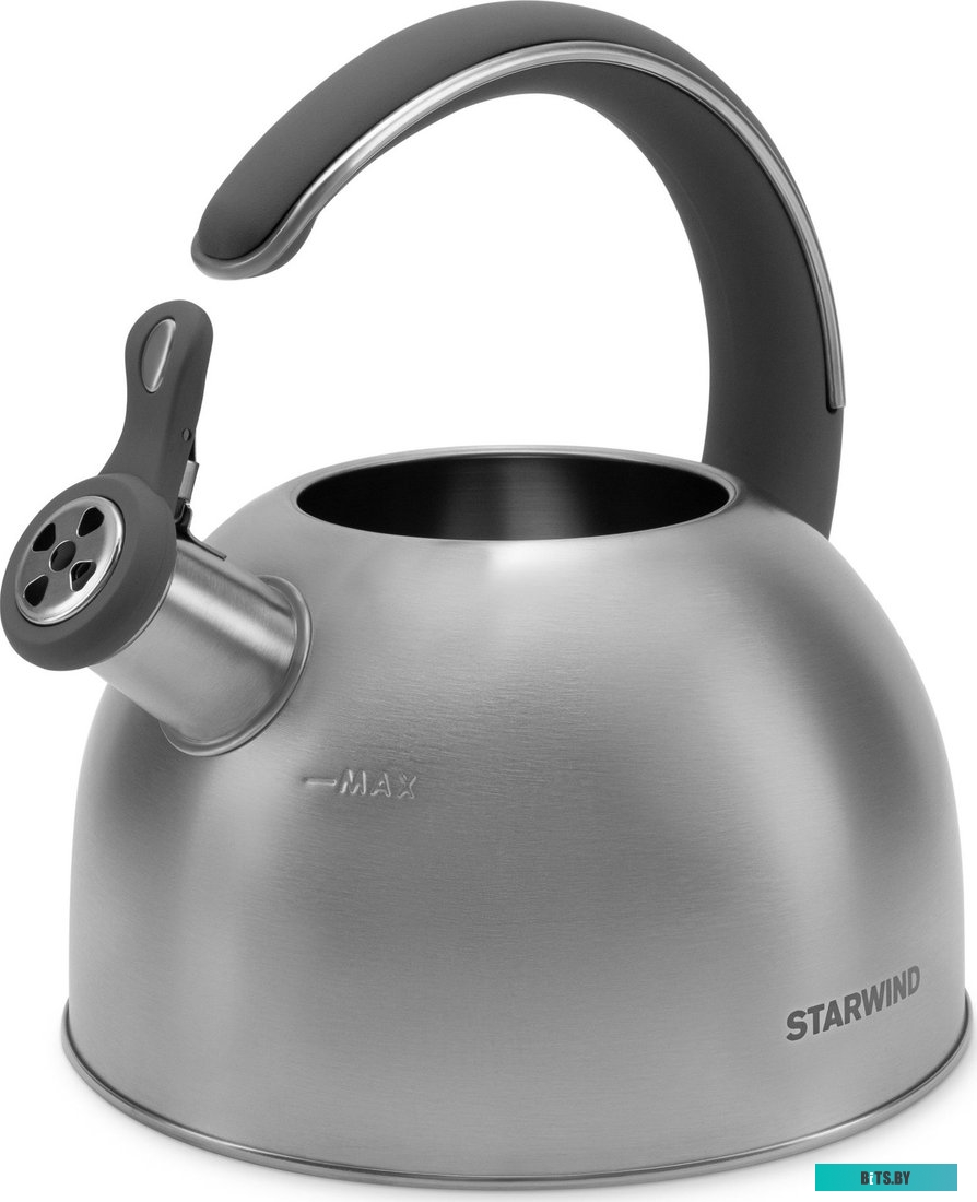 SW-CH1106 Чайник Starwind Chef Family серебристый