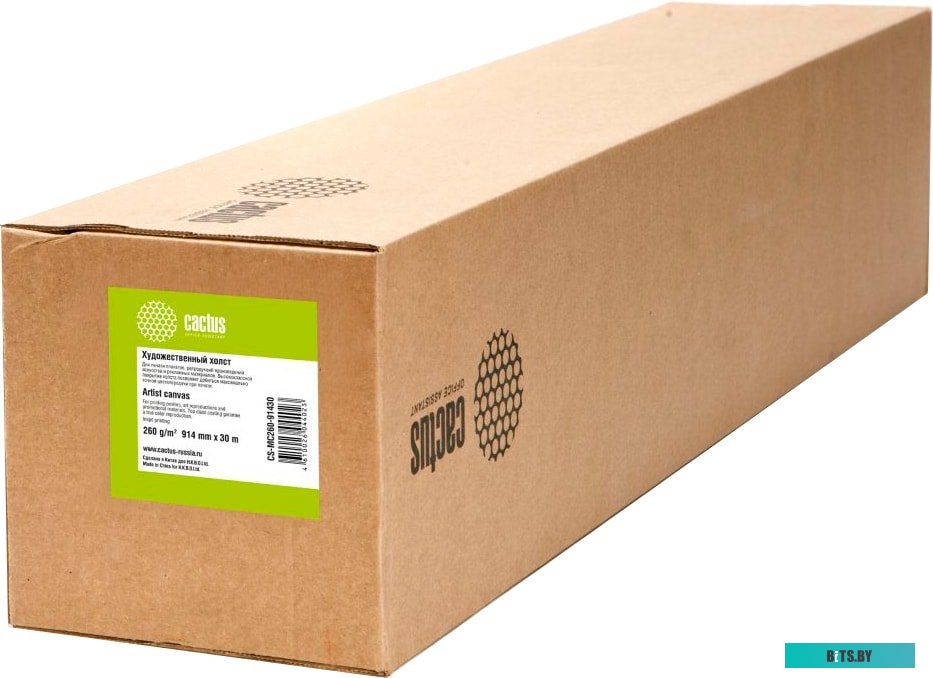 Холст Cactus CS-GC260-91430 91430.