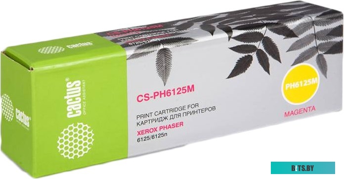 Системный блок CACTUS CS-PH6125M