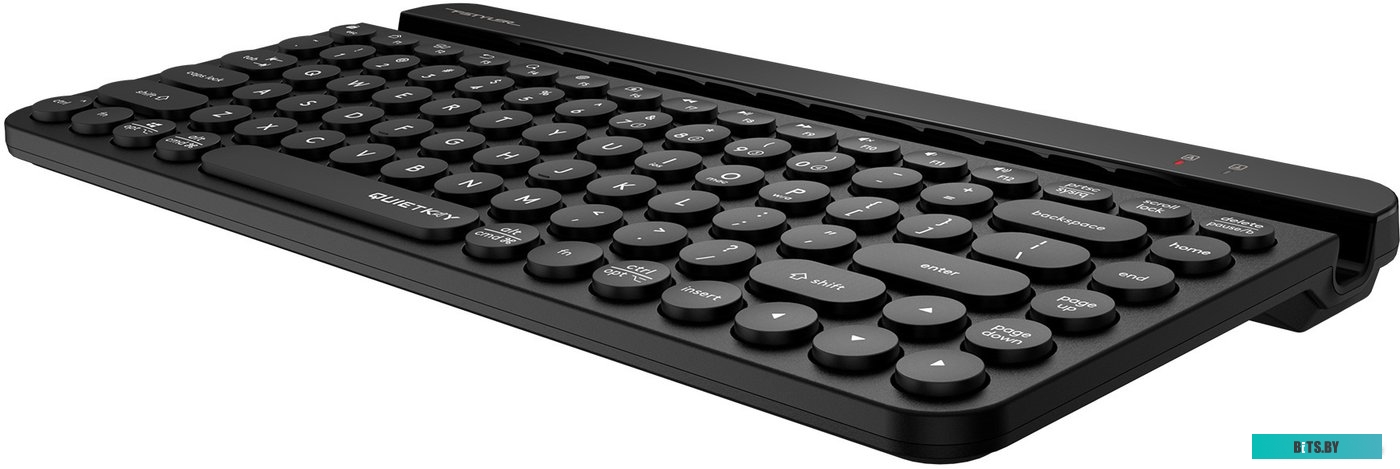 Клавиатура A4Tech Fstyler FBK30 (черный)