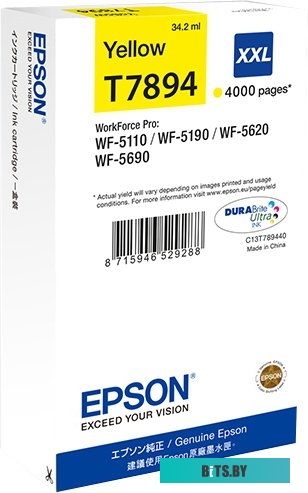 Картридж Epson C13T789440