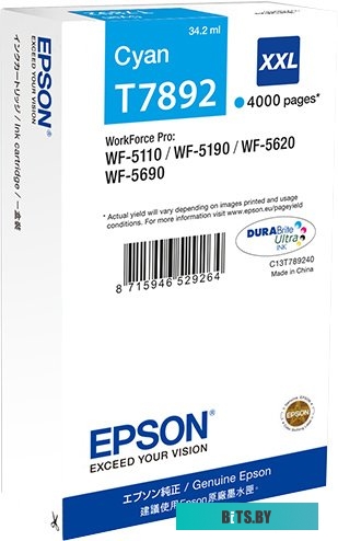 Картридж Epson C13T789240