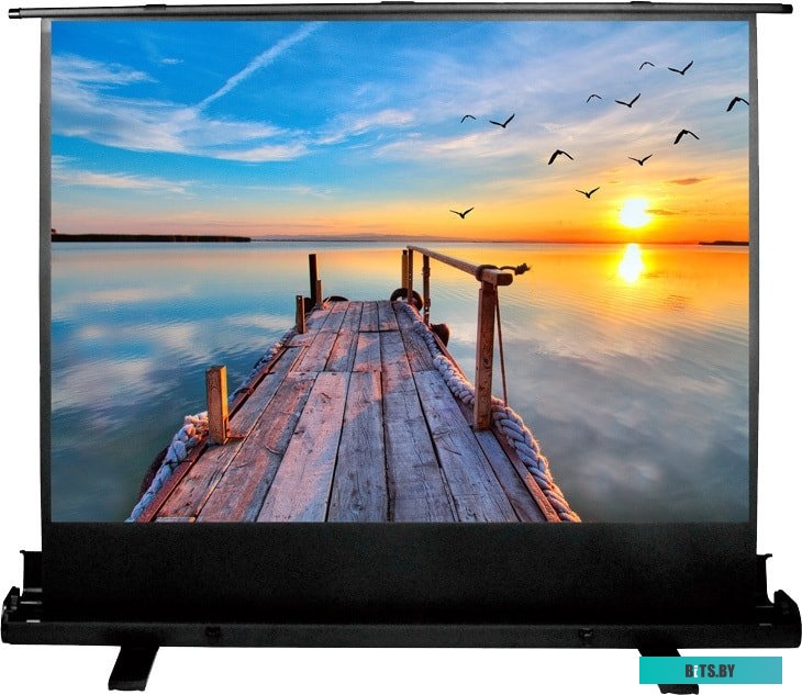 Экран для проекторов Cactus FloorExpert 113x200 CS-PSFLE-200X113