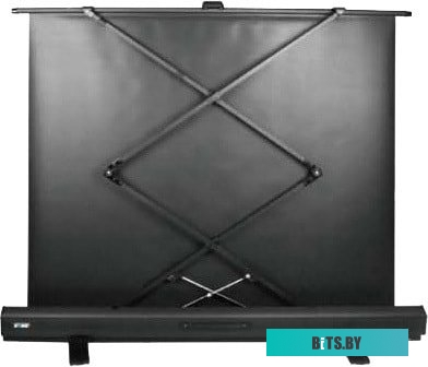 Экран для проекторов Cactus FloorExpert 113x200 CS-PSFLE-200X113