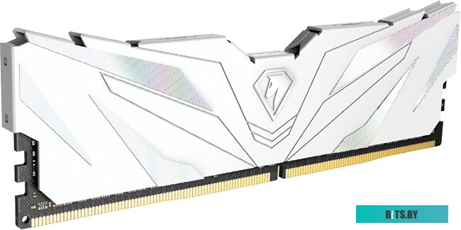 Оперативная память Netac Shadow II White 2x8ГБ DDR4 3200 МГц NTSWD4P32DP-16W