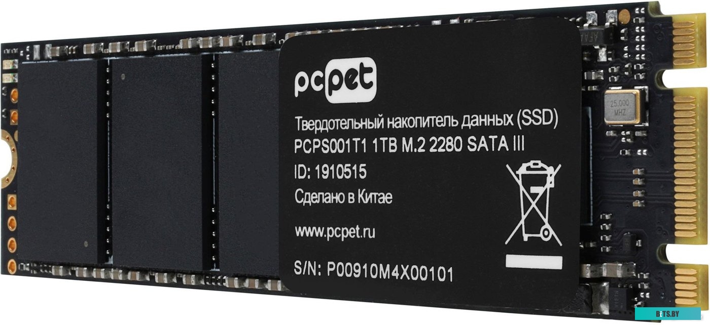Внешний жесткий диск PC Pet 1TB PCPS001T1.