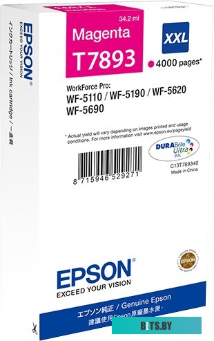 Картридж Epson C13T789340