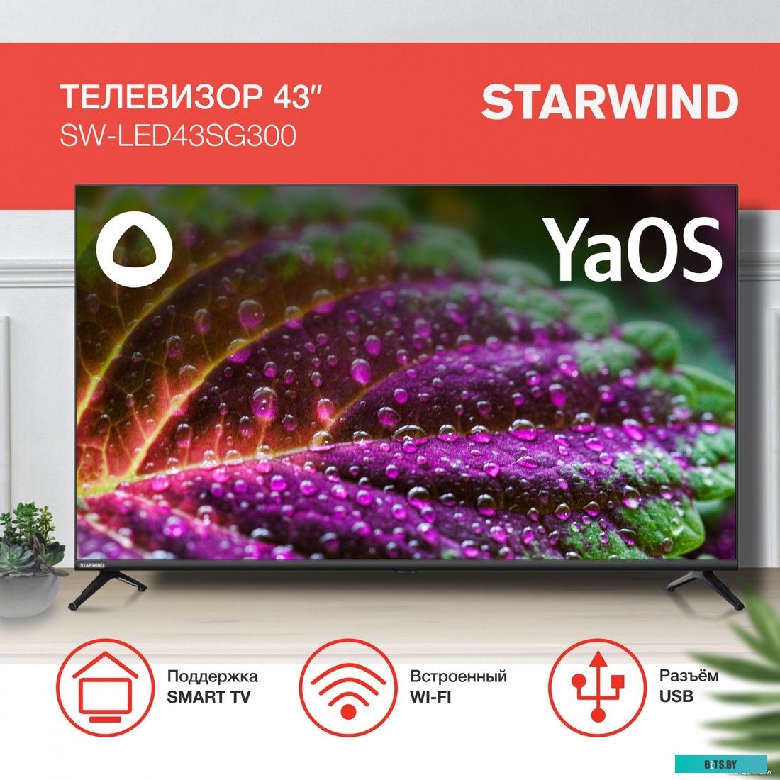 Телевизор StarWind SW-LED43SG300