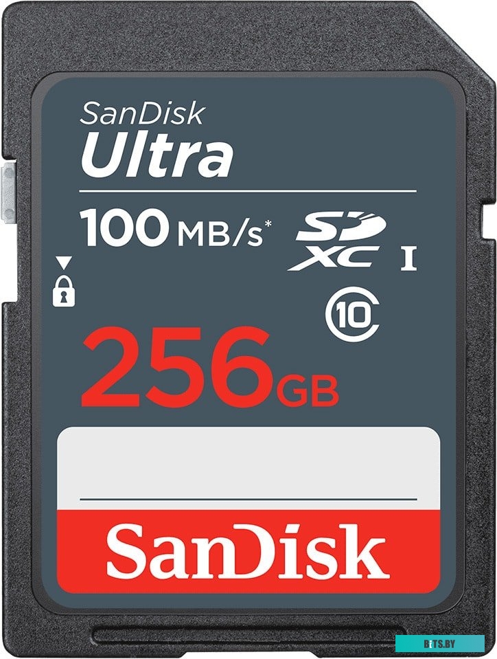 Карта памяти SanDisk Ultra SDXC SDSDUNR-256G-GN3IN 256GB