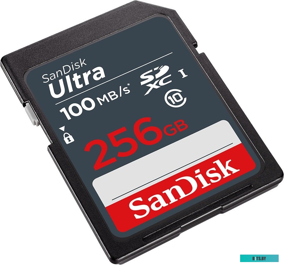 Карта памяти SanDisk Ultra SDXC SDSDUNR-256G-GN3IN 256GB