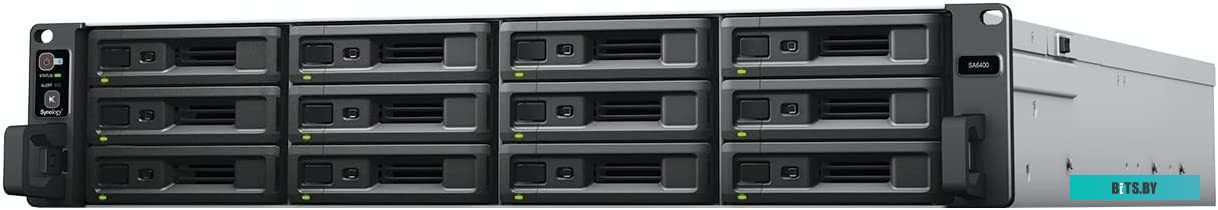 Сетевое хранилище Synology SA6400