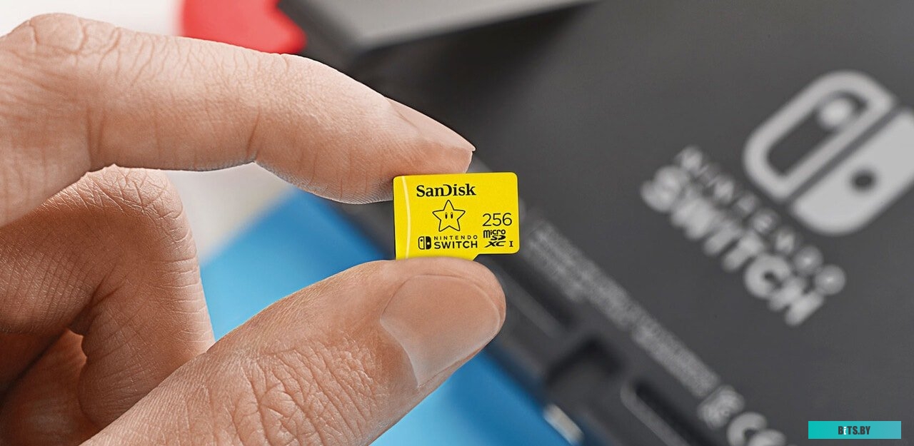 Карта памяти SanDisk For Nintendo Switch microSDXC SDSQXAO-256G-GN3ZN 256GB