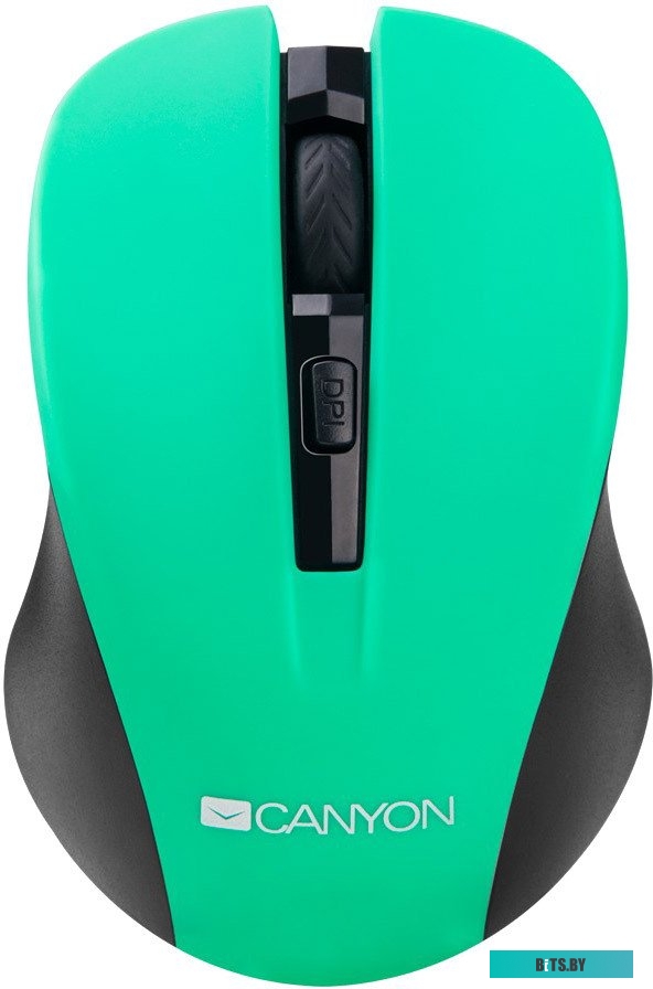 Мышь Canyon CNE-CMSW1GR