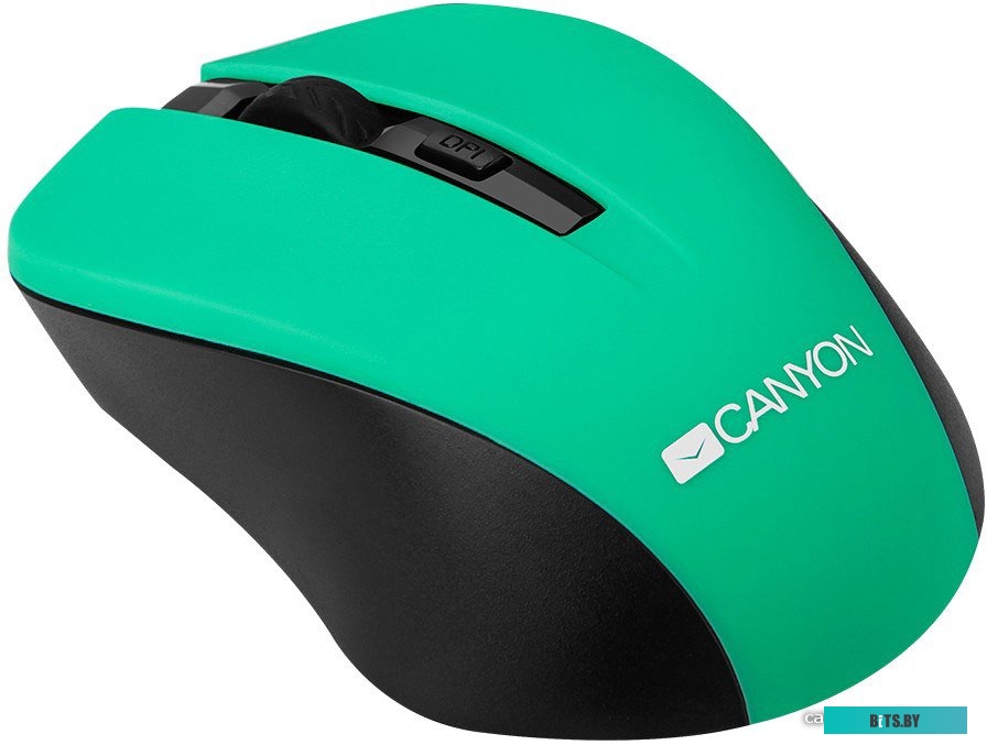 Мышь Canyon CNE-CMSW1GR