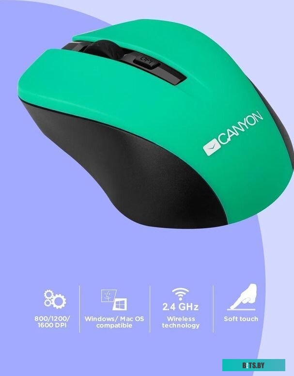 Мышь Canyon CNE-CMSW1GR