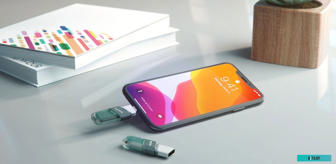 USB накопитель (Флешка) SanDisk iXpand Flip 256GB <SDIX90N-256G-GN6NE>