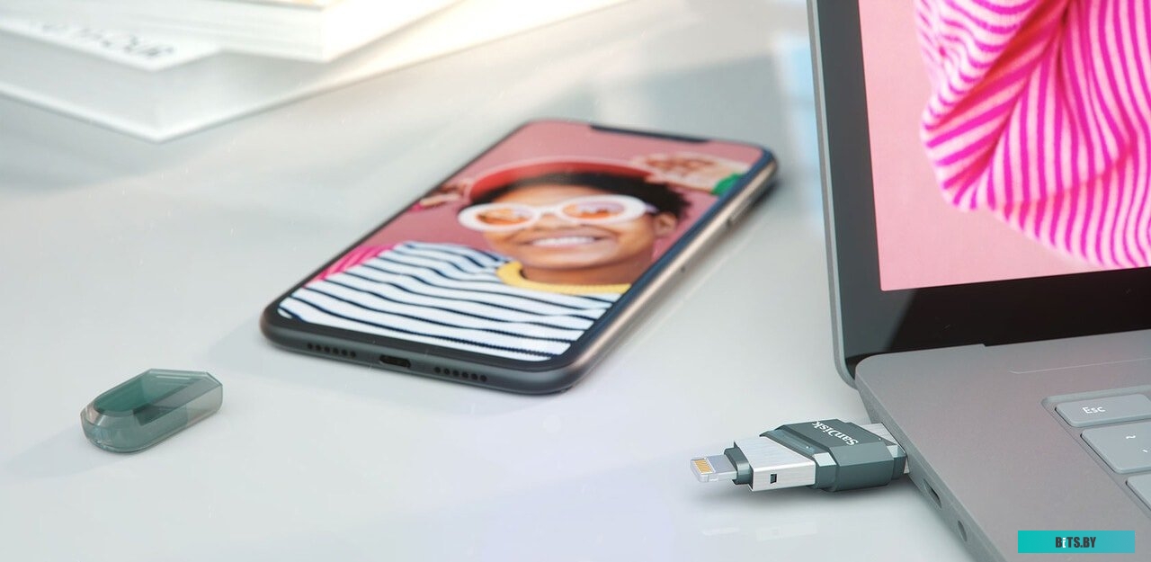 USB накопитель (Флешка) SanDisk iXpand Flip 256GB <SDIX90N-256G-GN6NE>