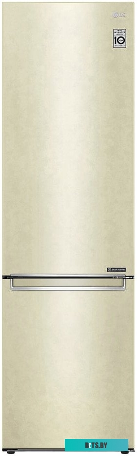 LG DoorCooling+ GC-B509SECL