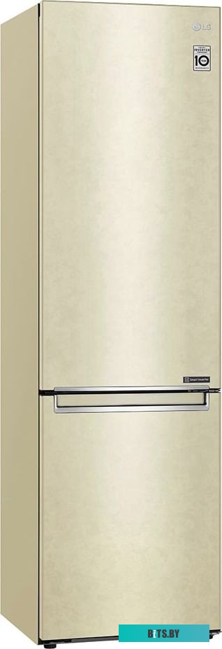 LG DoorCooling+ GC-B509SECL