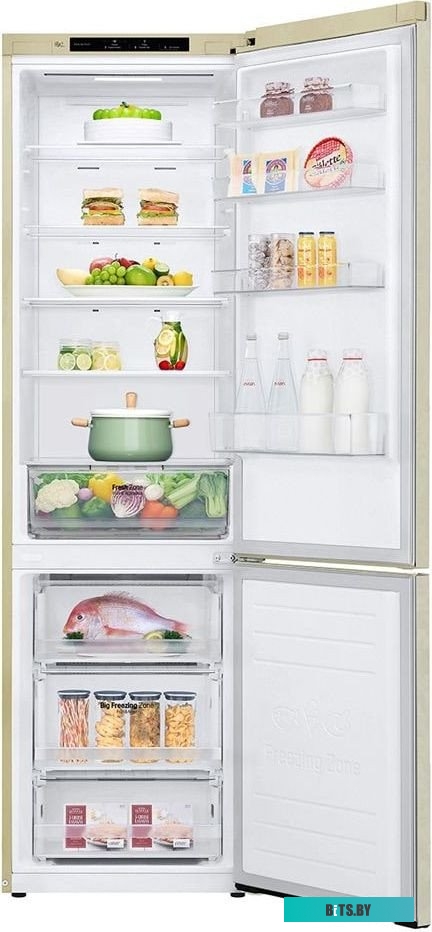 LG DoorCooling+ GC-B509SECL