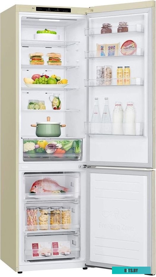 LG DoorCooling+ GC-B509SECL