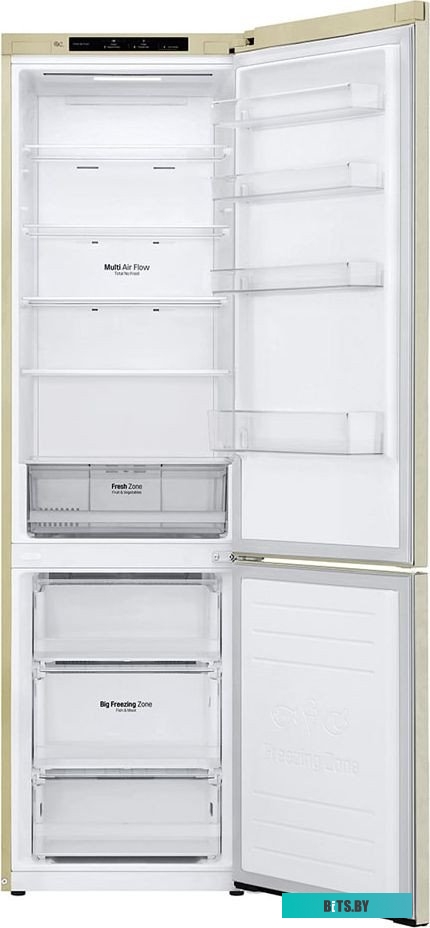 LG DoorCooling+ GC-B509SECL