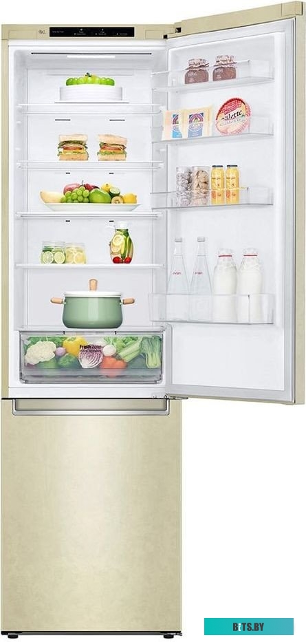 LG DoorCooling+ GC-B509SECL