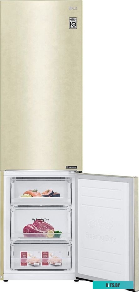 LG DoorCooling+ GC-B509SECL