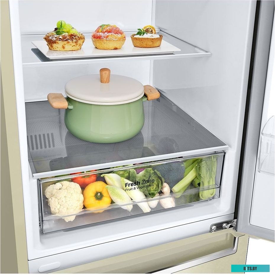 LG DoorCooling+ GC-B509SECL