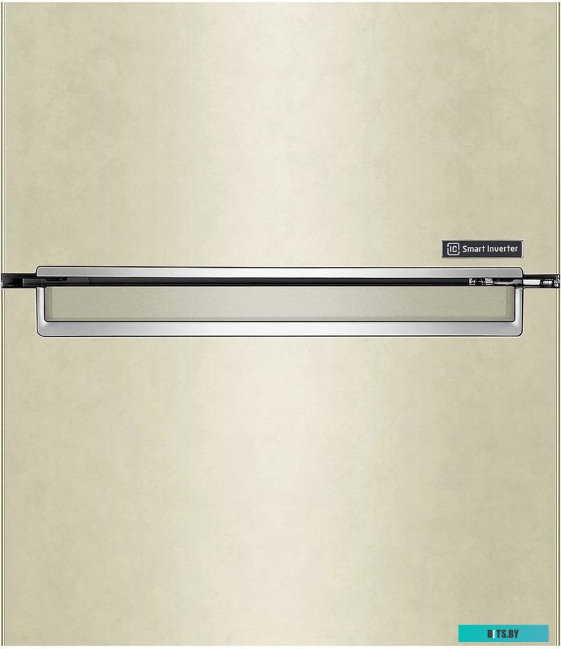 LG DoorCooling+ GC-B509SECL