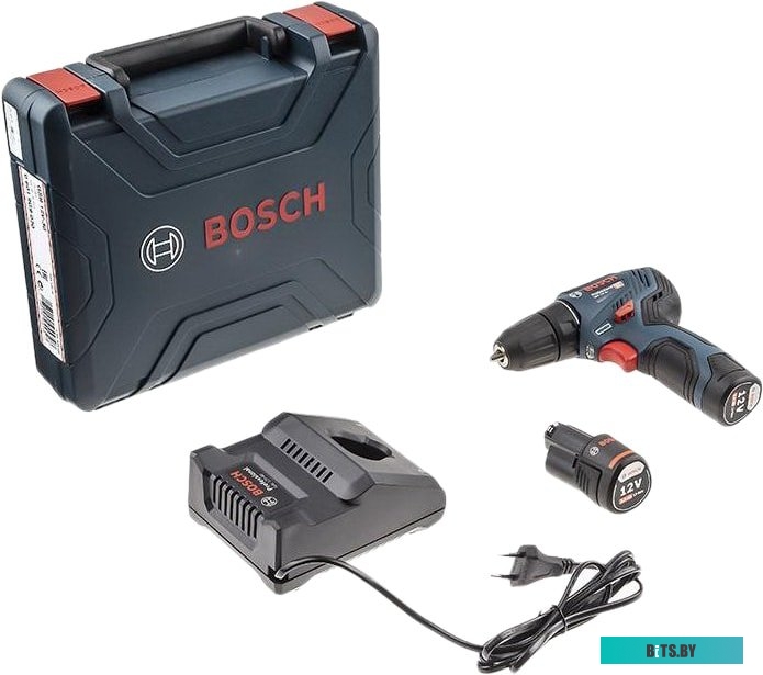 Дрель-шуруповерт Bosch GSR 12V-30 Professional 06019G9000 (с 2-мя АКБ, кейс) <0 601 9G9 000>