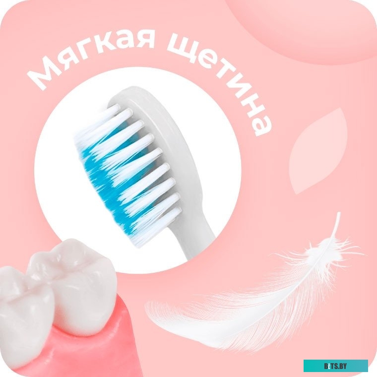 G-HLB03BLU Насадка для зубной щетки 2 PCS BLUE G-HLB03BLU GEOZON