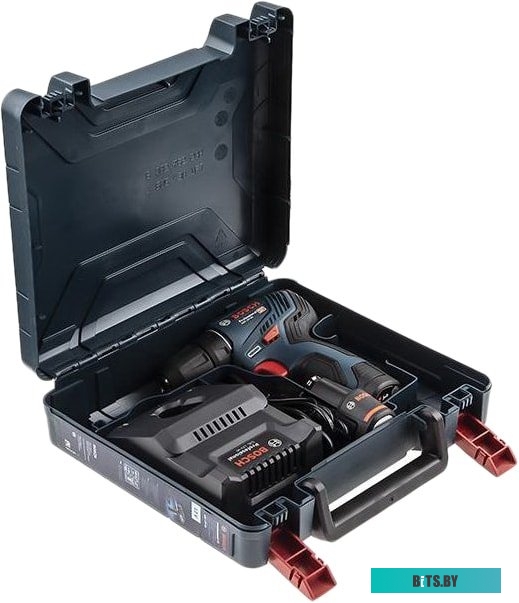 Дрель-шуруповерт Bosch GSR 12V-30 Professional 06019G9000 (с 2-мя АКБ, кейс) <0 601 9G9 000>