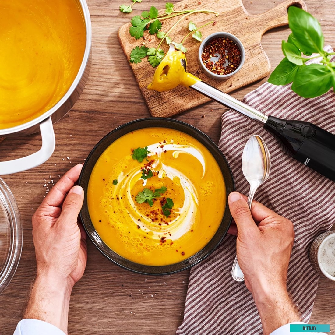 MS6CB61V1 Блендер погружной Bosch ErgoMixx MS6CB61V1 1000Вт черный