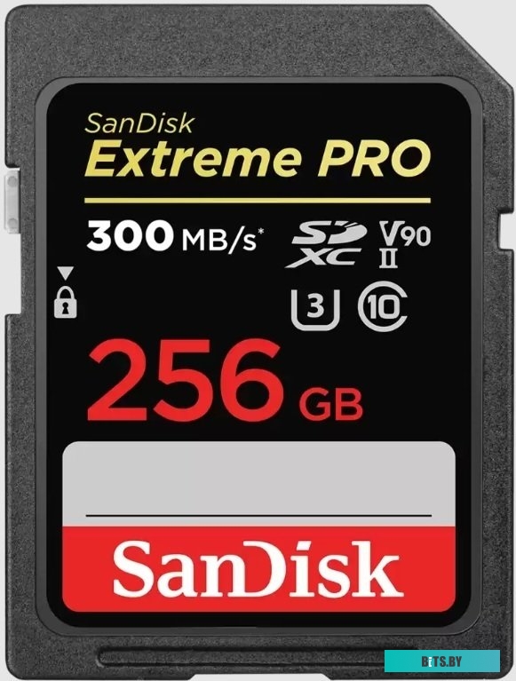 Карта памяти SanDisk Extreme PRO SDXC 256GB SDSDXDK-256G-GN4IN