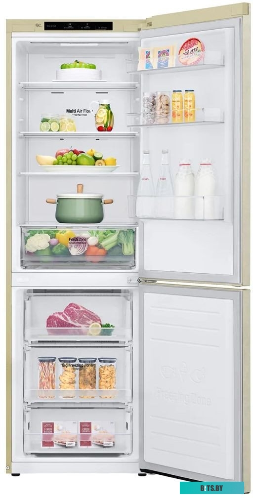 LG DoorCooling+ GC-B459SECL