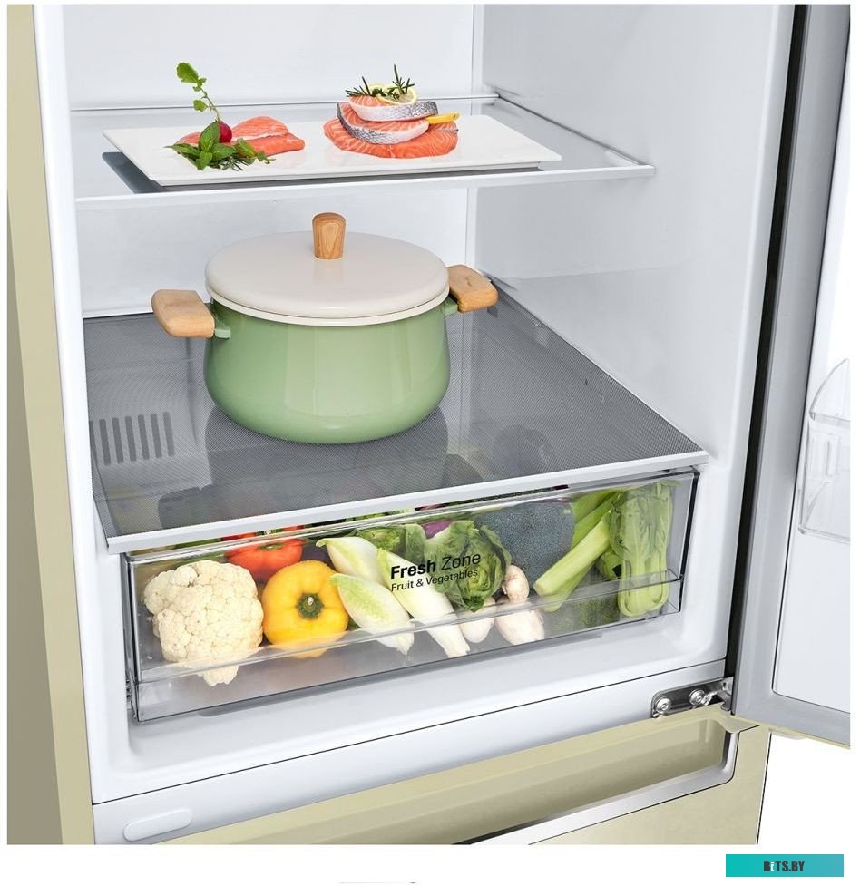 LG DoorCooling+ GC-B459SECL