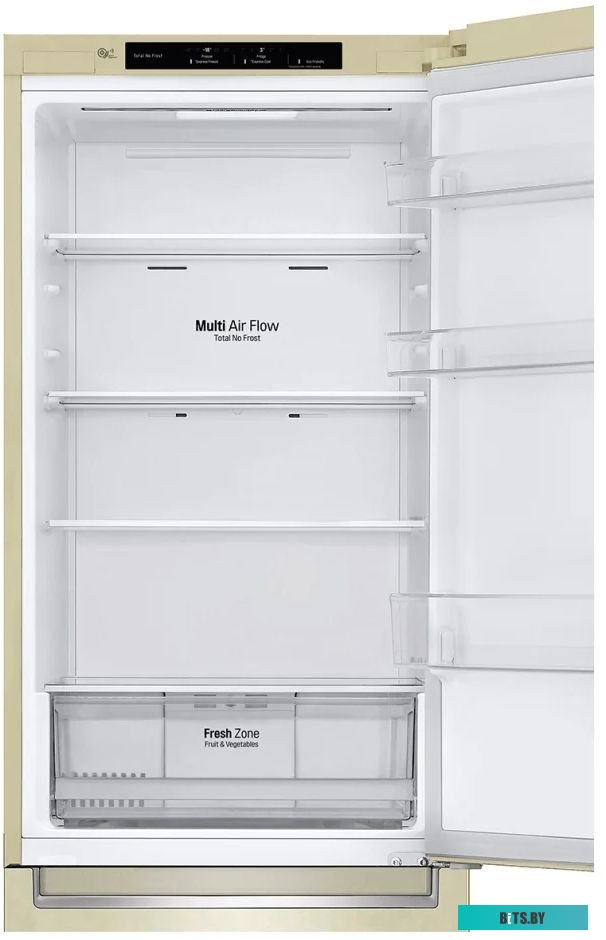 LG DoorCooling+ GC-B459SECL