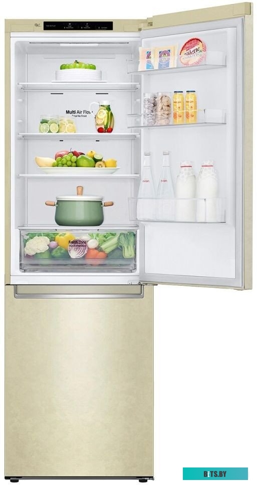 LG DoorCooling+ GC-B459SECL