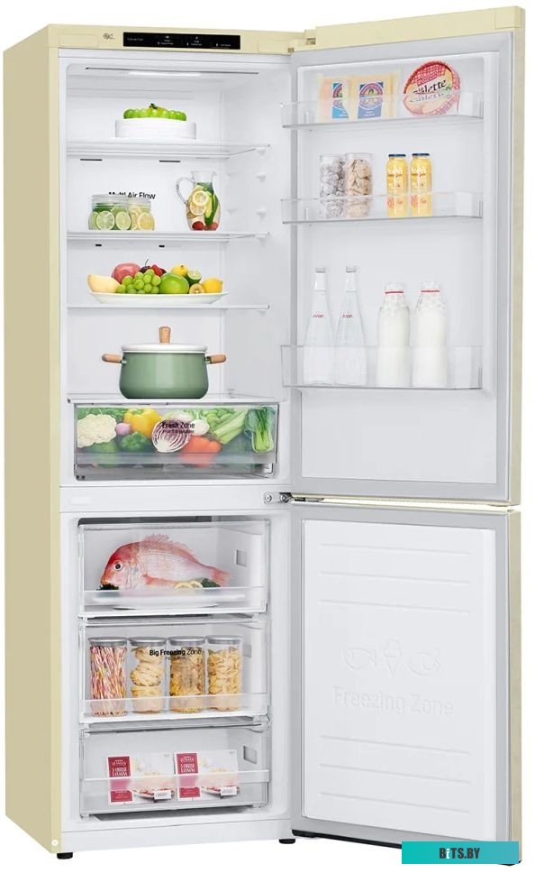 LG DoorCooling+ GC-B459SECL