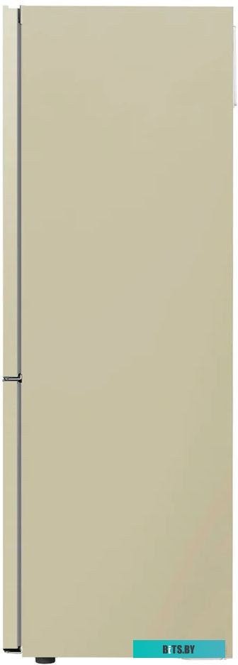 LG DoorCooling+ GC-B459SECL