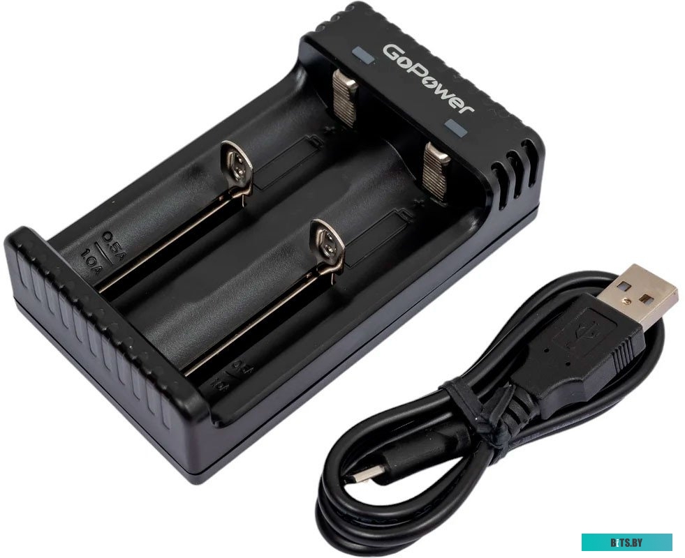 Зарядное устройство GoPower LiCharger 4 00-00015360