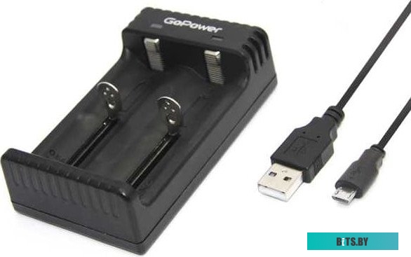 Зарядное устройство GoPower LiCharger 4 00-00015360