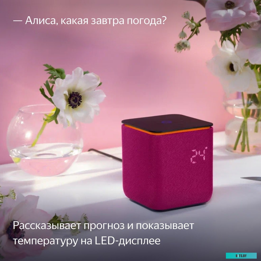 Умная колонка Яндекс Станция Миди YNDX-00054PNK
